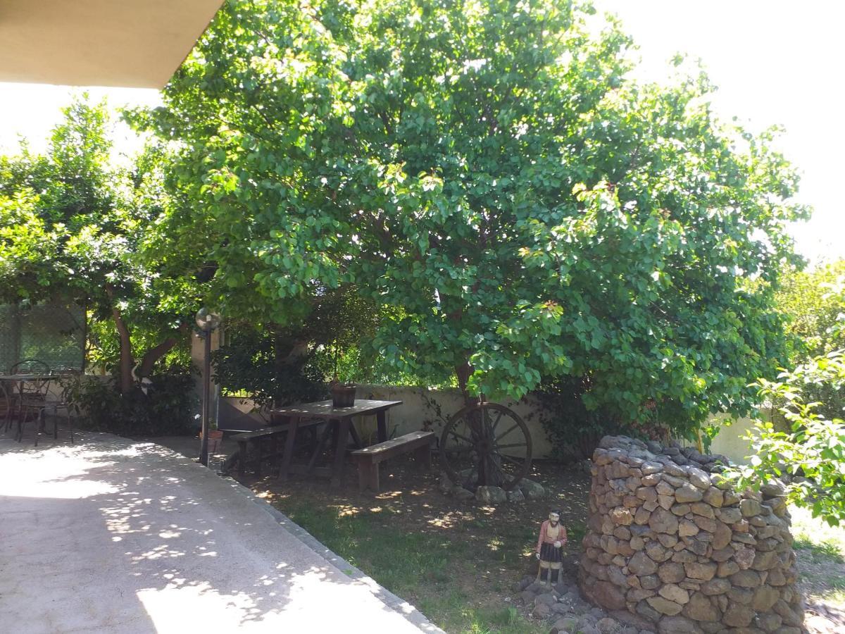 B&B Antica Botte Сассари Экстерьер фото
