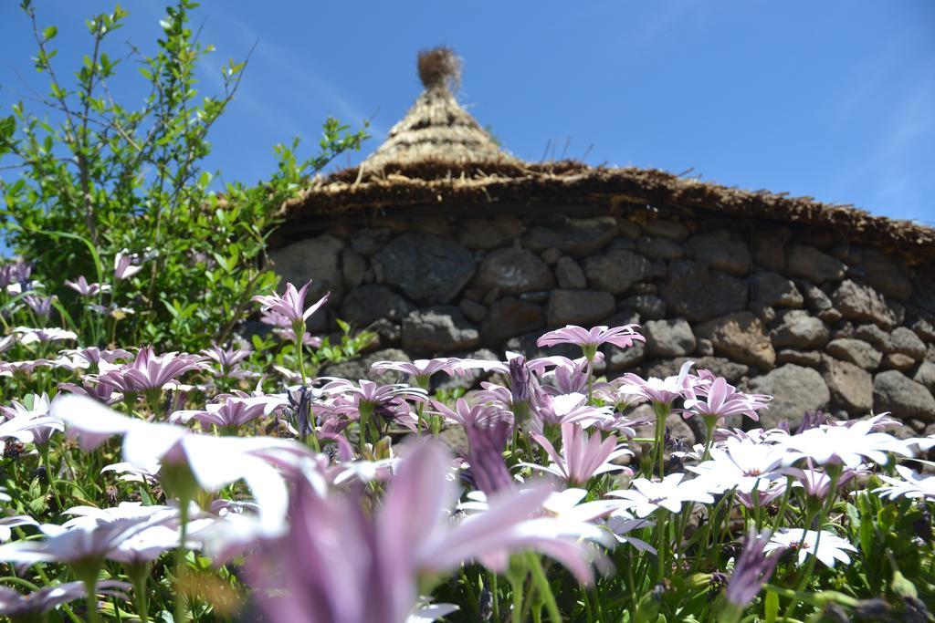 B&B Antica Botte Сассари Экстерьер фото