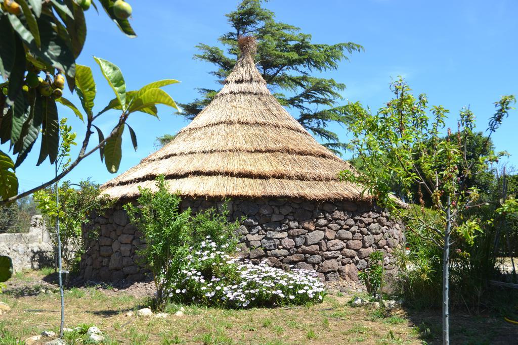 B&B Antica Botte Сассари Экстерьер фото